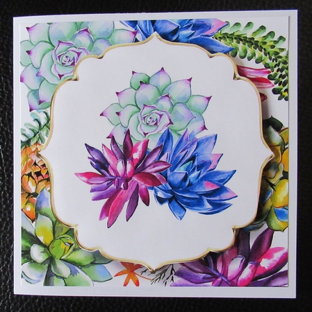 6x6 Watercolour Floral - Colourful Succulents by Davina Rundle