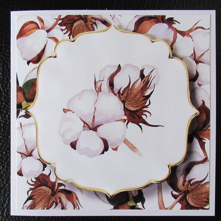 6x6 Watercolour Floral - Cotton Flowers by Davina Rundle