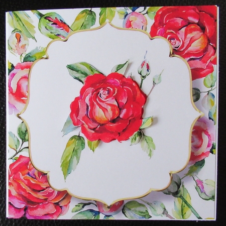 6x6 Watercolour Floral - Red Rose by Davina Rundle
