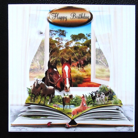 book on horses  by Davina Rundle