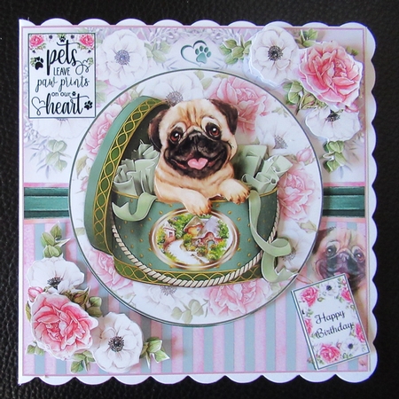 Pets Leave Paw Prints Mini Page Kit  by Davina Rundle