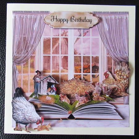 book on chickens by Davina Rundle