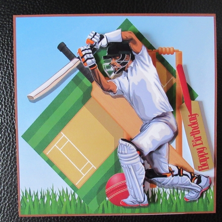 Cricket Mania by Davina Rundle