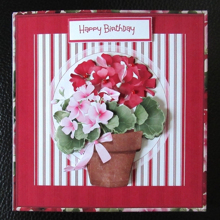Potted Geraniums 6x6 by Davina Rundle