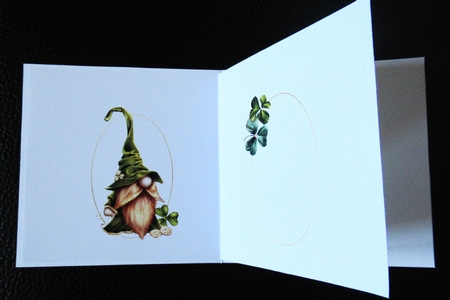 7x7 An Irish blessing gnome insert by Davina Rundle