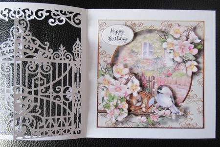 Birds Nest At The Rose Cottage 2 8x8 by Davina Rundle