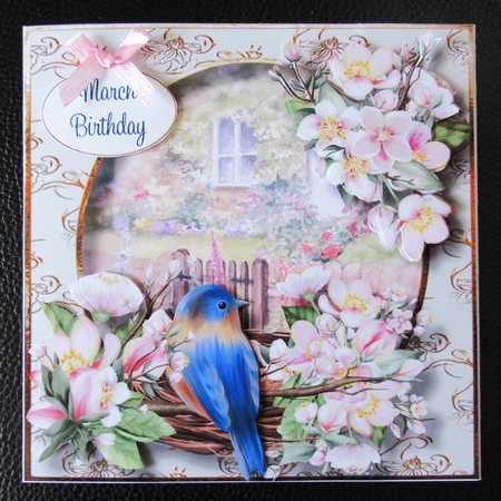 Birds Nest At The Rose Cottage 4 by Davina Rundle