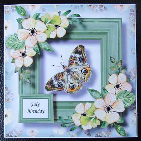 Beautiful Butterfly 1 by Davina Rundle