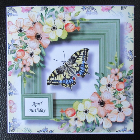 Beautiful Butterfly 2 by Davina Rundle