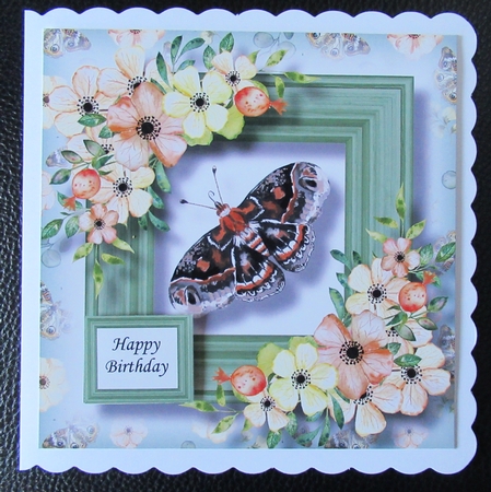 Beautiful Butterfly 3 by Davina Rundle