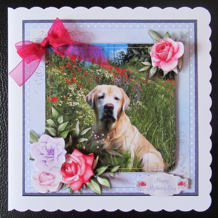 GOLDEN OLDIE by Davina Rundle