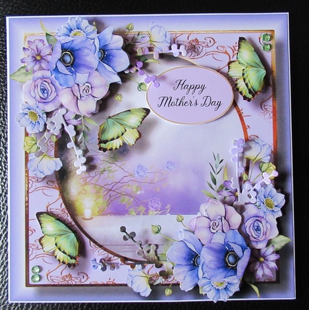 Beautiful Blooms & Butterflies - Violet Flowers by Davina Rundle