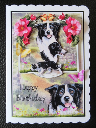 Dogs - Bumper kit Set No.1 by Davina Rundle