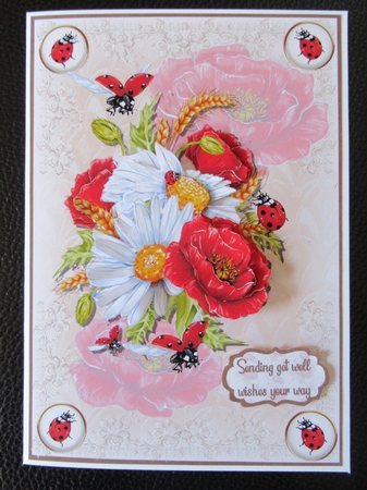 Poppies daisies and Ladybirds A5 by Davina Rundle