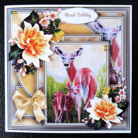 Animal Kingdom 6 Bumper Kit #1  by Davina Rundle