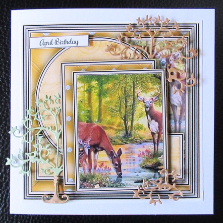 Animal Kingdom 7 Bumper Kit #1  by Davina Rundle