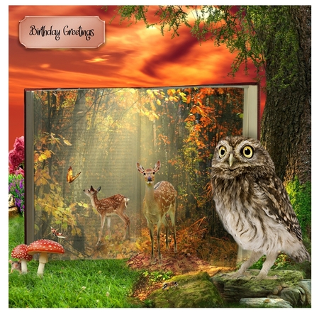 book of wildlife by Davina Rundle