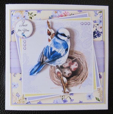Spring Bird 3 Mini Kit by Davina Rundle