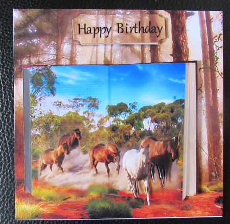 wild horses by Davina Rundle