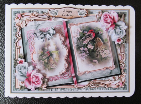 A5 Open Book Of Birds Mini Page Kit  by Davina Rundle