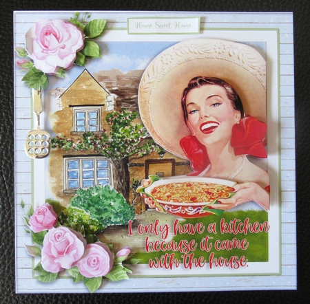 KITCHEN CAME WITH THE HOUSE by Davina Rundle