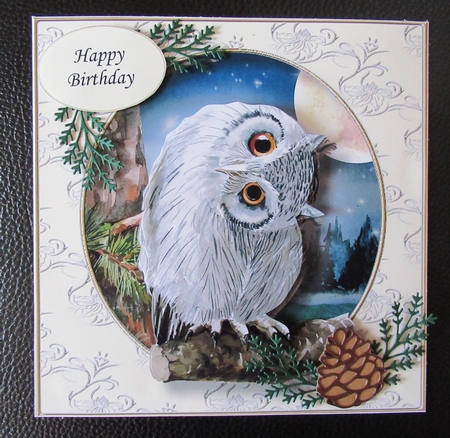The Majestic Owl Bumper Kit by Davina Rundle