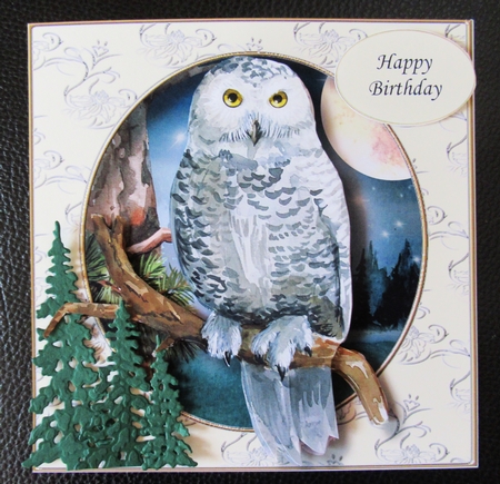 The Majestic Owl Bumper Kit by Davina Rundle