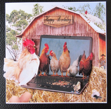 chicken faarm by Davina Rundle