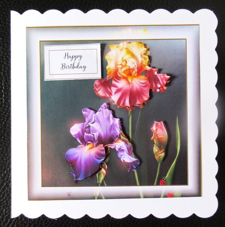 Simple Beautiful Floral 27 by Davina Rundle