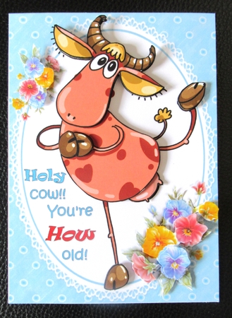 Holy cow youre how old 8x8 and A4 mini kit by Davina Rundle