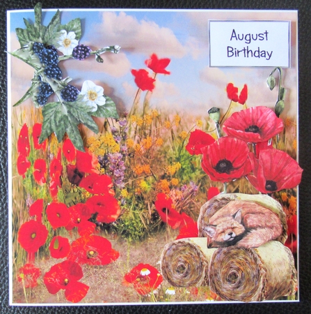 poppy field by Davina Rundle