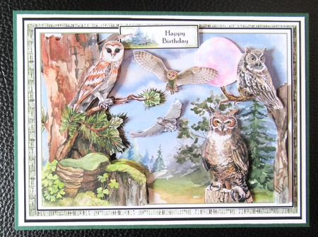 Owls Of The Forest Mini Page Kit by Davina Rundle