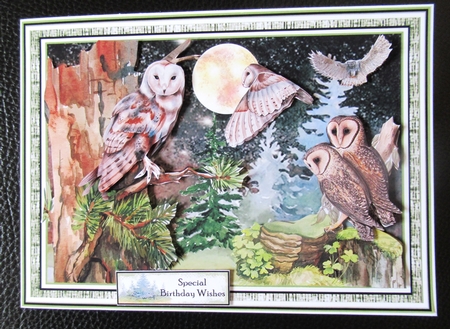 Owls Of The Forest 02 Mini Page Kit by Davina Rundle