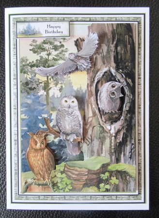 Owls Of The Forest 03 Mini Page Kit by Davina Rundle