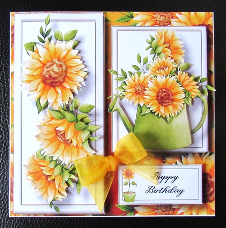 Sunflower Gardening Bumper Kit by Davina Rundle