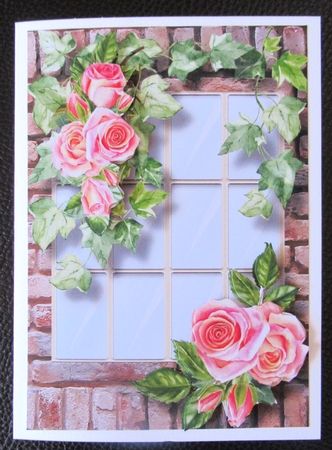 The Ivy & Rose Window 2 by Davina Rundle