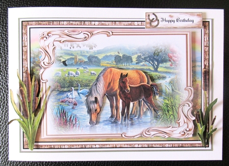 Wild At Heart Bumper Mini Page Kits  by Davina Rundle