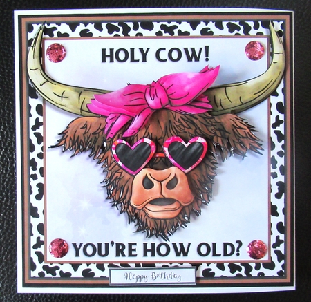 HOLY COW by Davina Rundle