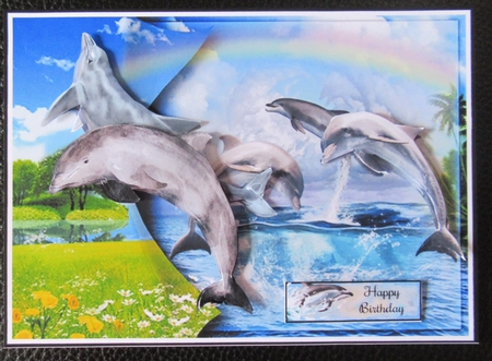 Dolphin World Card Front by Davina Rundle