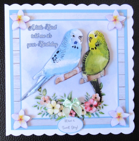 A LITTLE BIRD by Davina Rundle