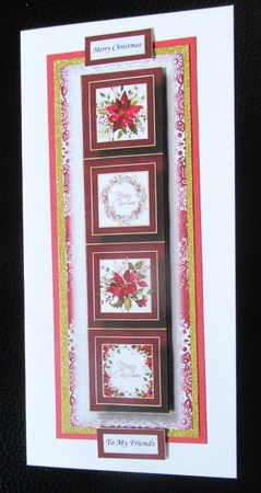 Lge Dl Christmas Quad Frame - Scarlet Poinsettia by Davina Rundle