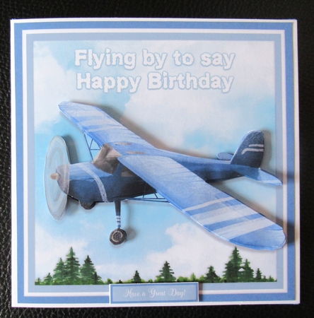FLYING BY by Davina Rundle