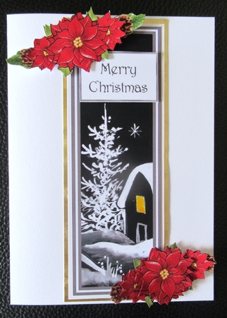Step By Step Christmas Poinsettias by Davina Rundle