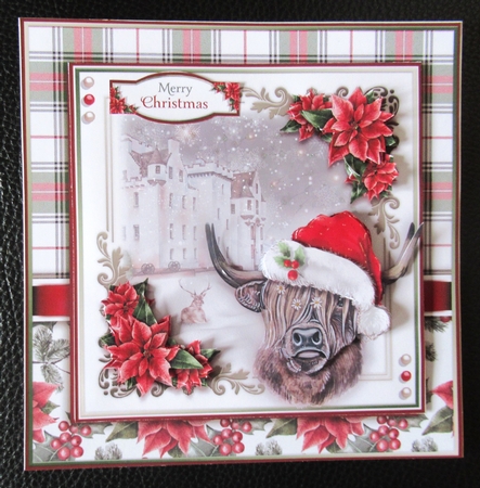 The Christmas Highland Cow by Davina Rundle
