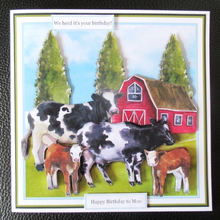 HERD ITS YOUR BIRTHDAY by Davina Rundle