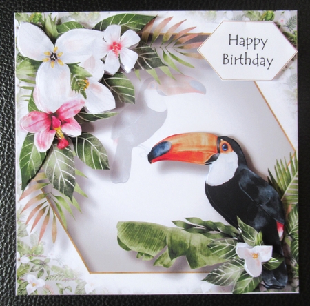 Amazonian Animals - Toucan by Davina Rundle