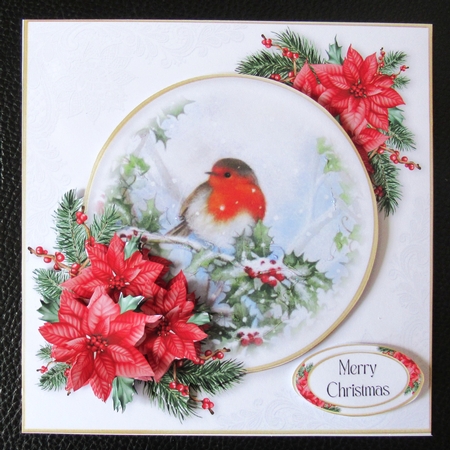 Little Robin Red Breast 1 by Davina Rundle