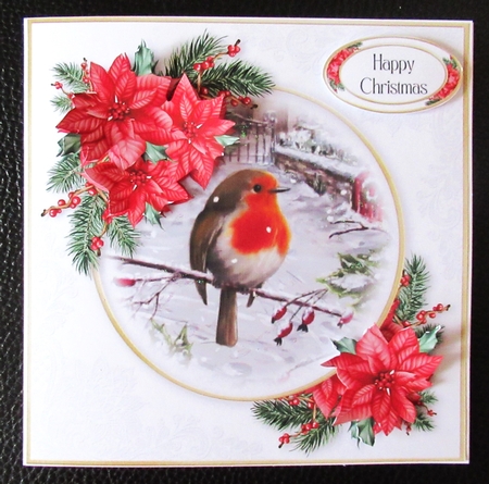 Little Robin Red Breast 2 by Davina Rundle
