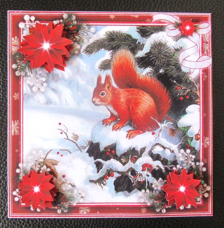 Winter Squirrel Bumper Kit #1   by Davina Rundle