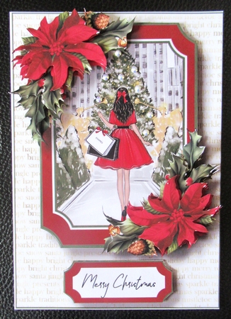 The Ladies Of Christmas 1 by Davina Rundle